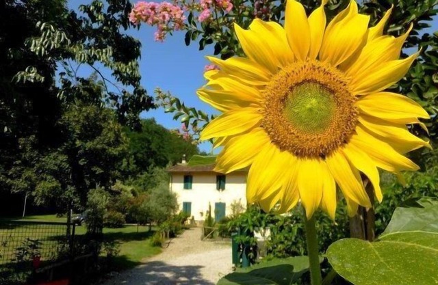 Ferienwohnung Pistoia (Stadt) für 2 - 5 Personen mit 2 Schlafzimmern - Ferienwohnung