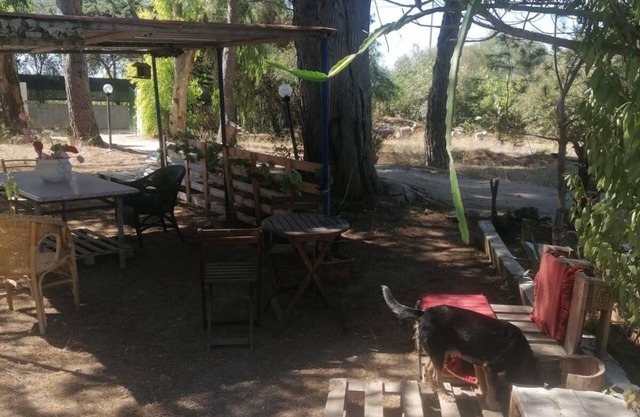 Holiday apartment Porto Torres for 1 - 4 persons with 1 bedroom - Holiday apartment