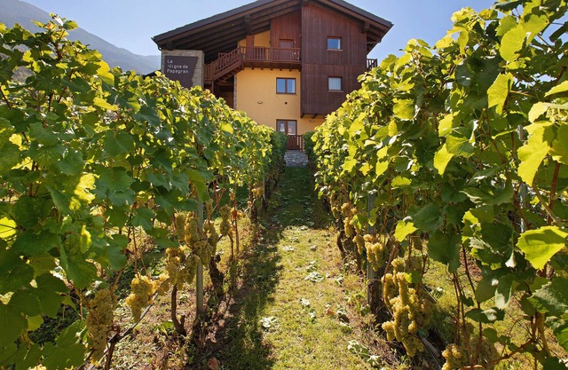 Holiday Apartment "La Vigne De Papagran 7" with Mountain View, Shared Garden & Wi-Fi