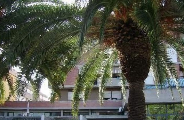 Ferienwohnung Carrara für 1 - 5 Personen mit 1 Schlafzimmer - Ferienwohnung