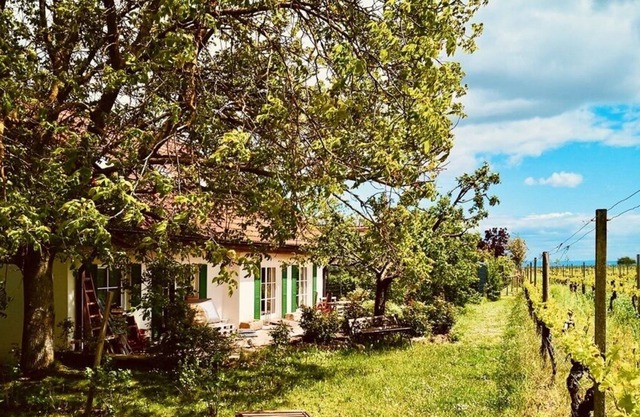 Ferienwohnung "Portugieserträume" am Weinberg gelegen
