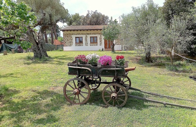 Holiday apartment Piombino for 1 - 6 persons with 2 bedrooms - Farmhouse