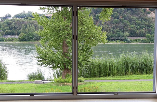 Ferienwohnung 'Rheinblick Wohnung 3' mit Gemeinschaftsterrasse und WLAN