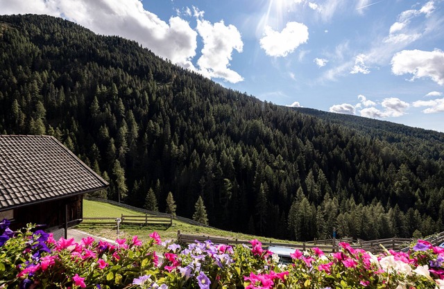 Ferienwohnung "Talblick Hinterproslhof" mit Bergblick, Balkon & WLAN
