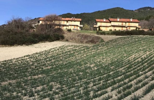 Ferienwohnung "mit Panorama"