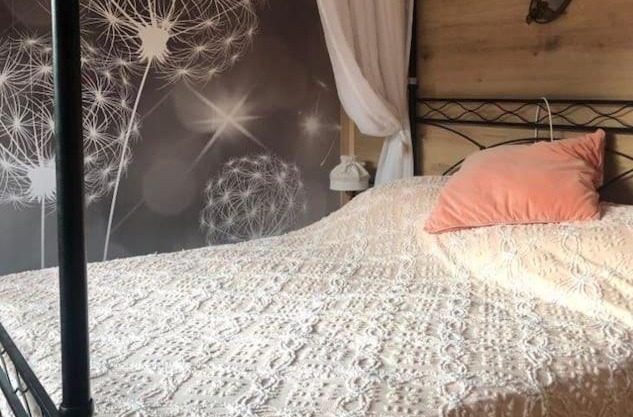Holiday Guesthouse La Casina di Butzi pet friendly - Terme di Arta - Zoncolan