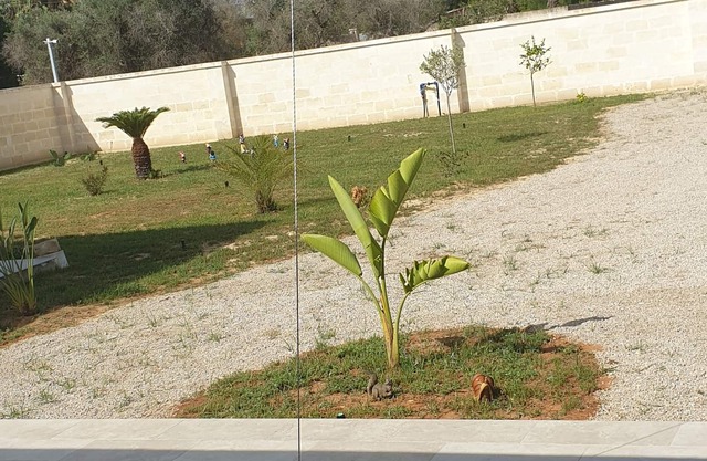 Holiday home 7km from the Salento beaches