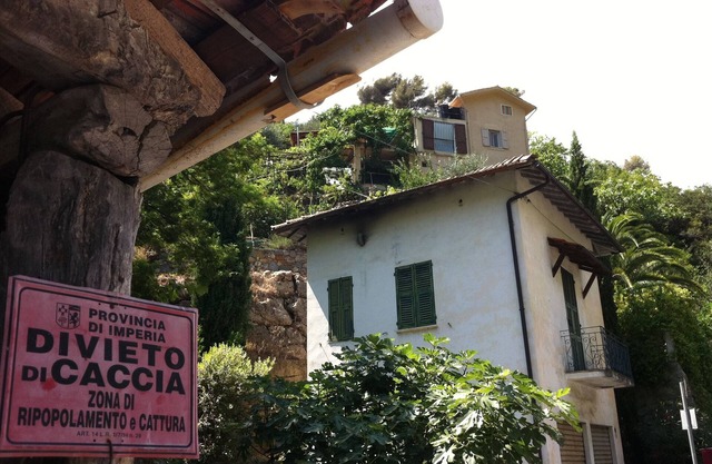 Ferienhaus in einem Bio-Weinberg