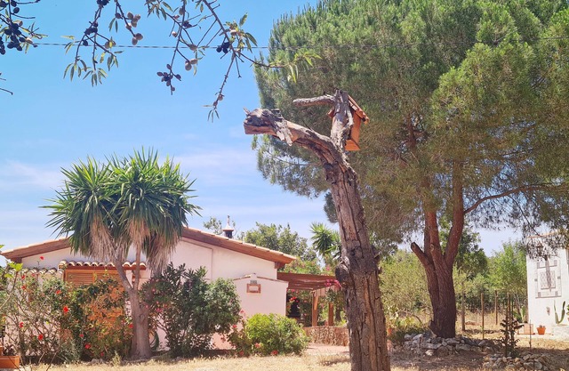 Ferienhaus 'Do Avô António' mit WLAN