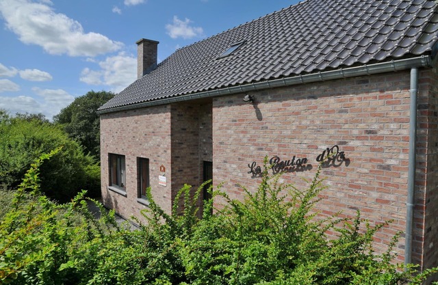 Gemütliches Ferienhaus in Somme-Leuze mit Garten