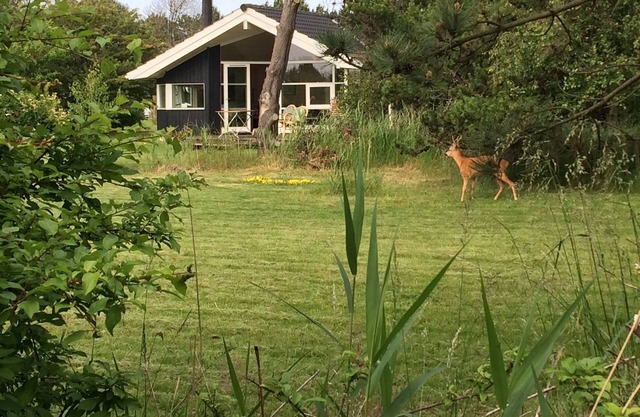 Ferienhaus in schöner Natur zwischen zwei Küsten