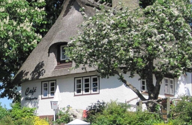 Ferienhaus in Kappeln mit Schwimmbecken