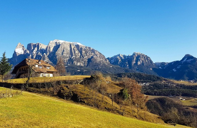 Birbamergut mit Schlernblick