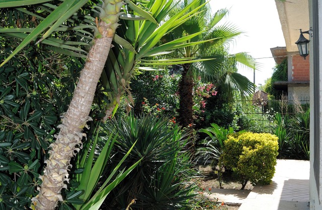 Vrbo Property