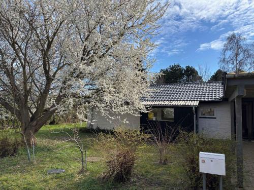 Holiday Home Near Water, Forest, And Møn's Cliffs