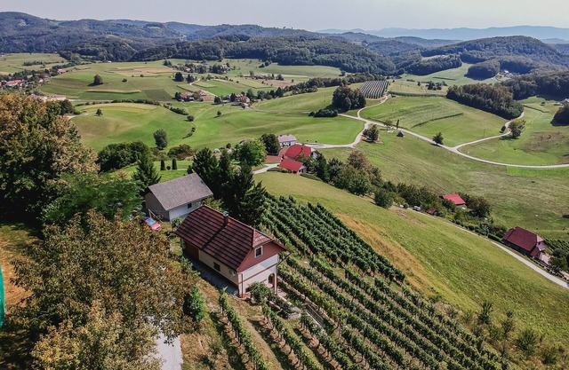 Holiday Home Sunny with balcony&view at vineyard