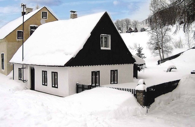 Ferienhaus mit Kamin im Skiort