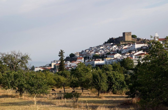 Holiday house Castelo de Vide for 1 - 4 persons with 1 bedroom - Holiday house