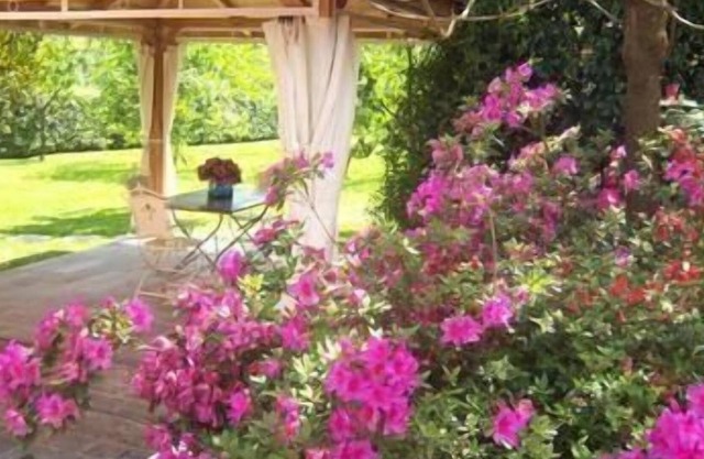 Ferienhaus Gallicano für 1 - 2 Personen mit 1 Schlafzimmer - Ferienhaus