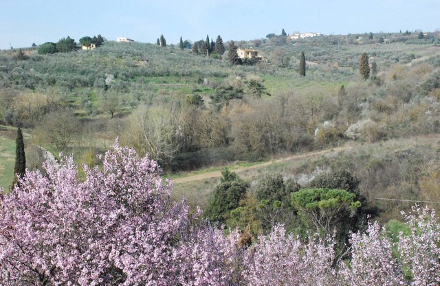 Ferienhaus "Gli Oleandri di Belfiore". In den Hügeln nur einen Schritt von Florenz entfernt