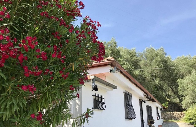 Ferienhaus Diano Marina für 1 - 4 Personen mit 1 Schlafzimmer - Ferienhaus