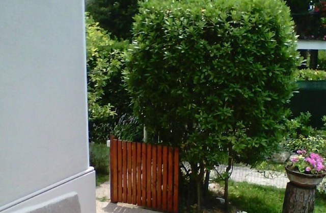 Ferienhaus Pisa für 1 - 6 Personen mit 2 Schlafzimmern - Ferienhaus