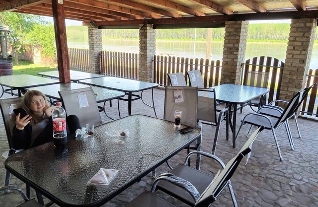 Ferienhaus mit Parkplatz Dalj, Slavonija (K-22471)