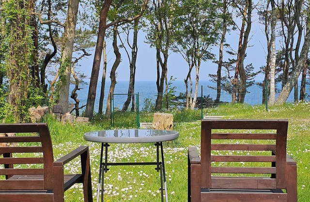 Ferienhaus mit unvergesslichen Meerblick, Kamin, Garage, W-LAN,