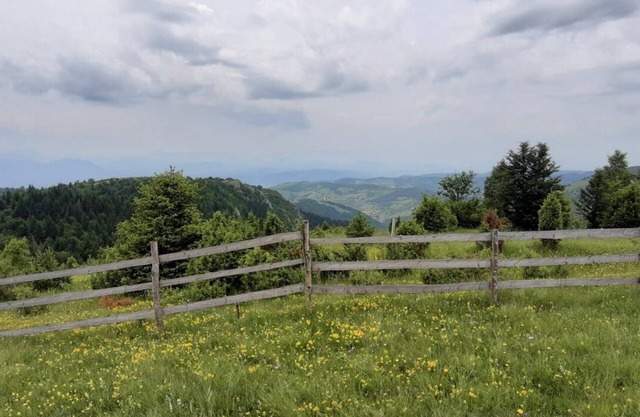 Ferien im Wald mit schönen Blick auf die Stadt Sarajevo
