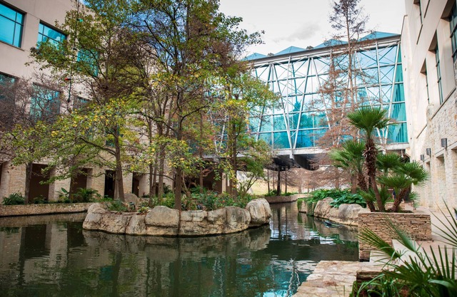 Holiday Inn Express San Antonio East I 10 by IHG
