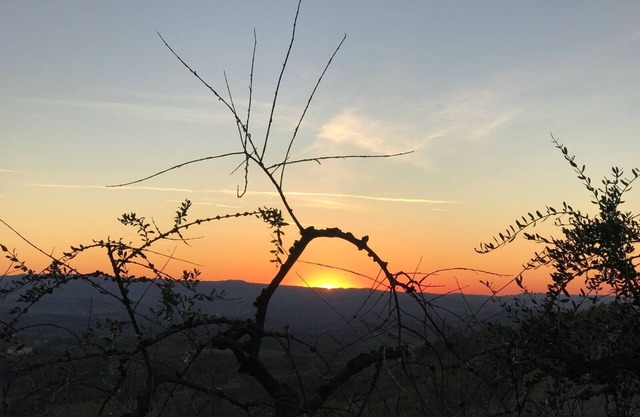 Urlaub im Herzen des Chianti