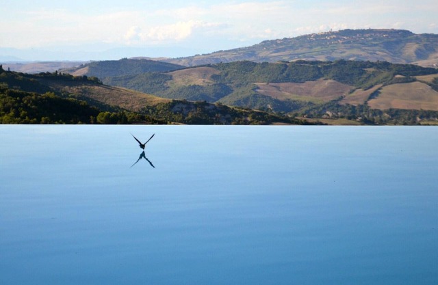 Urlaub wo die Toskana noch authentisch ist. Rustico 16.Jh Infinity Pool: Ginepro