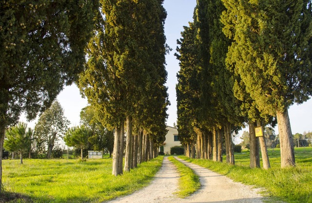 Urlaub in der toskanischen Landschaft, Meer und Slow-Food-