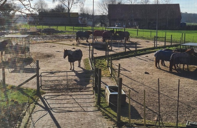Ferien auf dem Lande - Ferienwohnung auf dem Lande