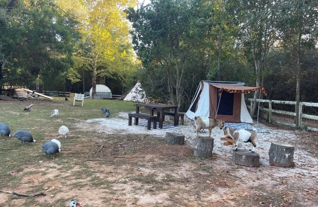 Holt’s Hideaway GLAMP Farmstay