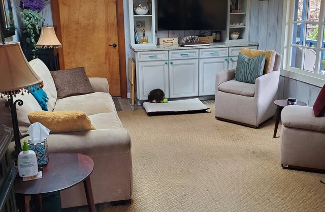 Home available with dog allowed (fenced yard)