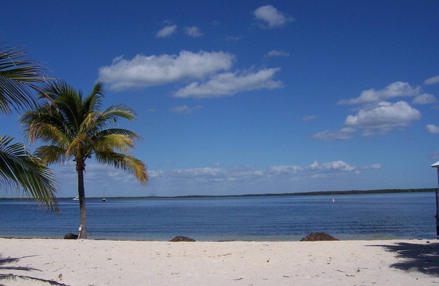 Zuhause in der Ferne, gemütliche 3 Schlafzimmer Beachfront & Waterfront Key Largo Home