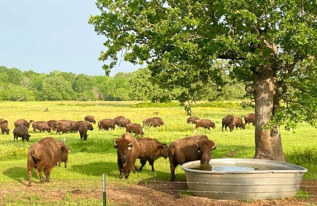Home on the Range ~ Ferienwohnungen in Aggieland