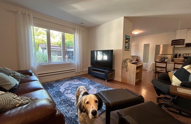 Homelike, comfy apartment w/fire pit. Dog-friendly. Only 4 min to the Mountain!