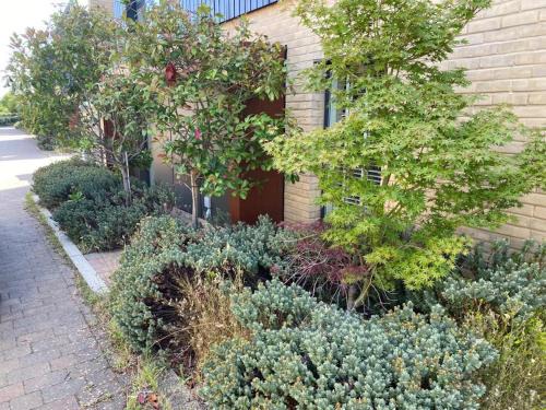 Homely & Warm Trumpington House w Parking, 5 mins drive to Bio Medical Campus, Addenbrooke's & Papworth hospitals