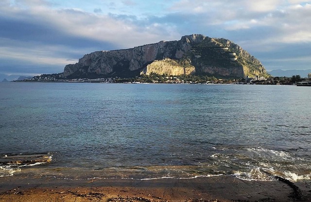 Homerez - Apartment in Palermo