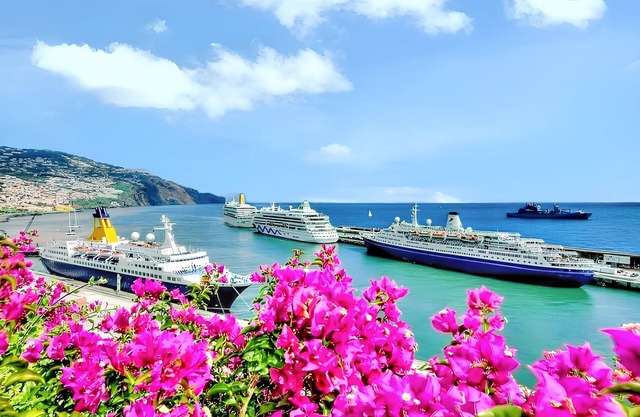 Homerez - Wohnung Funchal Balkon
