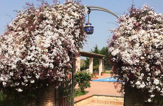 Homerez - Schönes Studio für 2 Pers. mit Zugang zum Pool in Grammichele