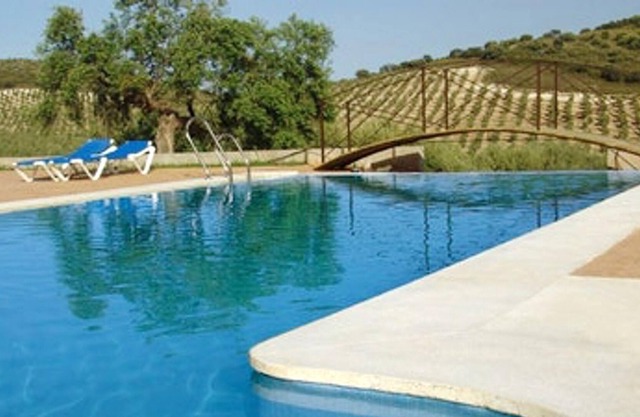 Homerez - Großes Haus für 9 Pers. mit Zugang zum Pool und Terrasse in Estepa
