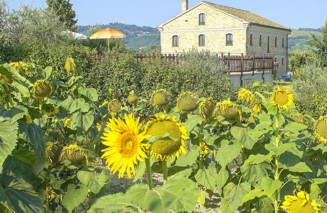 Homerez - Große Villa für 20 Pers. mit Schwimmbad in Montecarotto