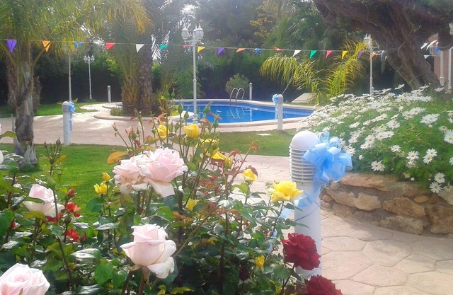 Homerez - Comfortable Apartment in Elche