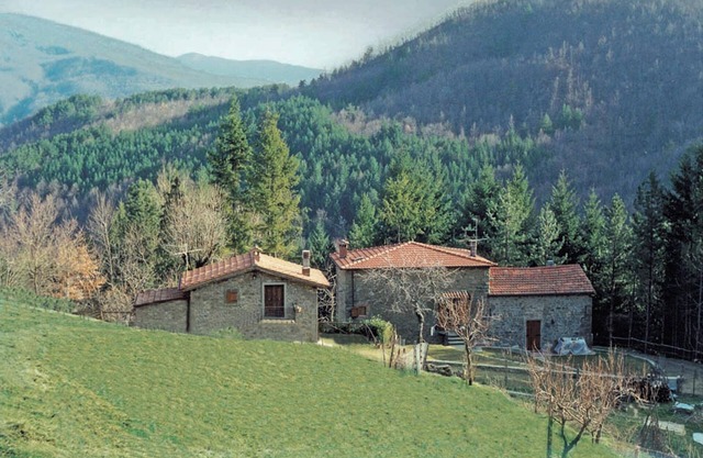 Homerez - Gemütliches Haus in Bibbiena + Pool and Garten