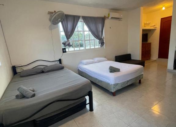 Homey studio in the CENTRO of town !