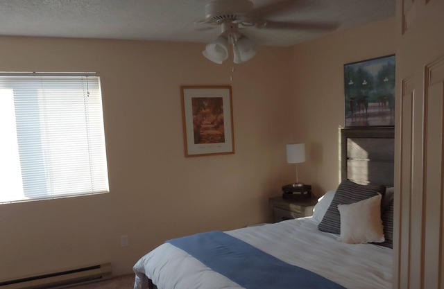 Homie upstairs apartment