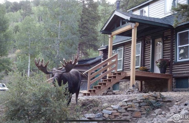 Honey Bear Creek Artists Mountain Retreat